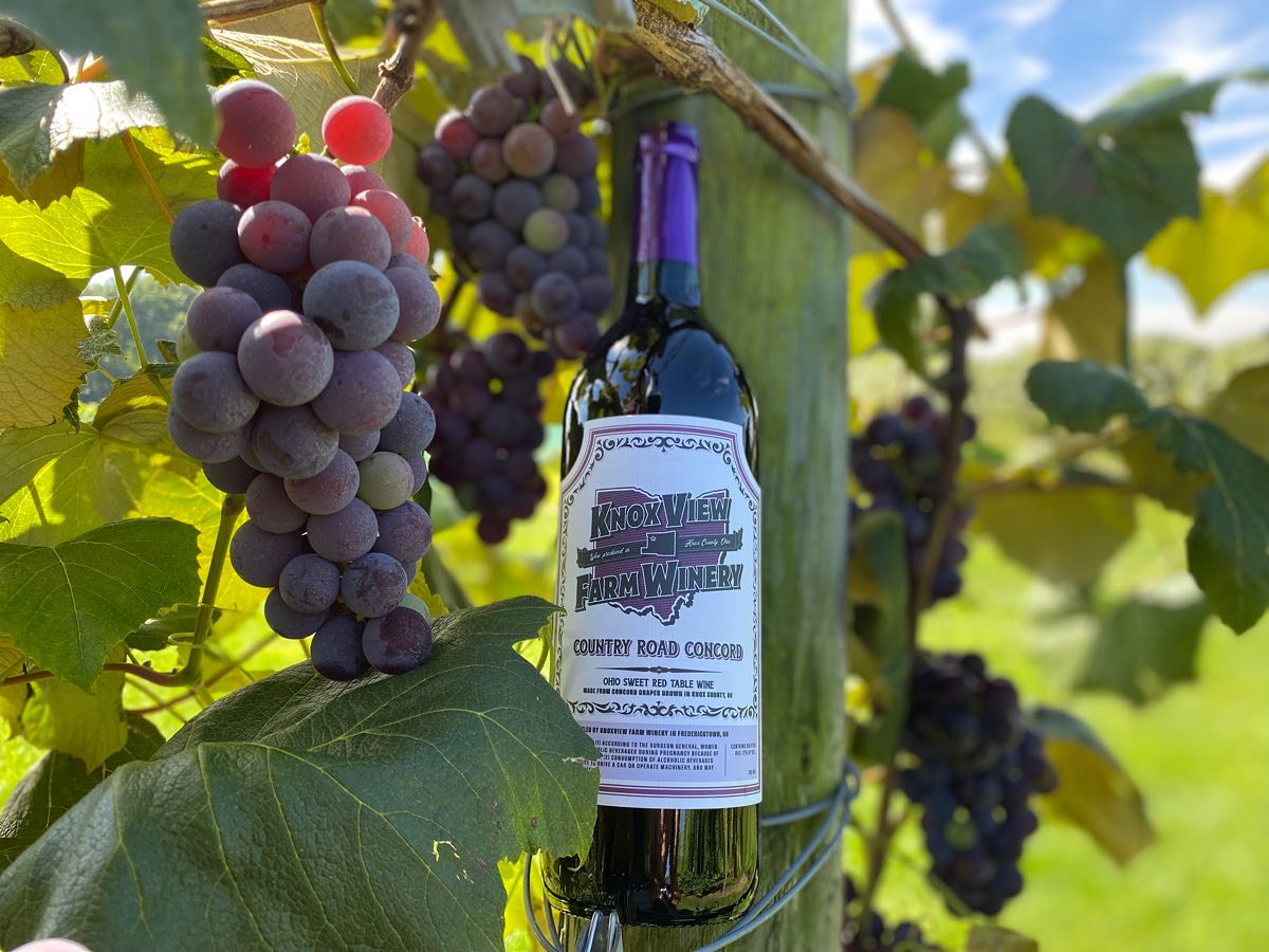 Wine Tasting Event