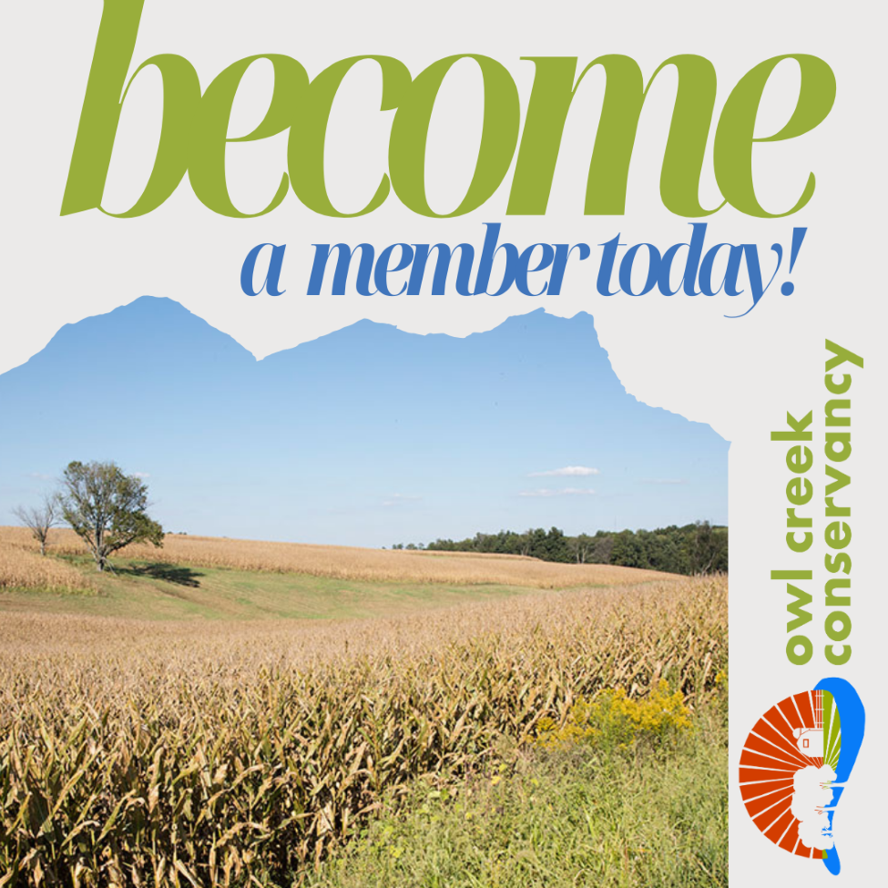 Become a member today!