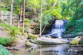 honeyrun fall
